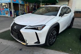 Lexus υχ250Η, 2021